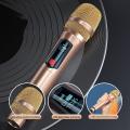 Uhf Wireless Microphone for Karaoke Singing Party Dual Microphone
