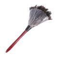 Ostrich Cleaning Feather Duster Fan Blades Of Various Photo Color