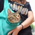 Pet Breathable Outdoor Travel Shoulder Bag for Puppy, Cats, Pet Pouch