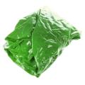 Design Animal Waterproof Shower Cap Green