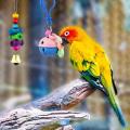 10 Pack Bird Swing Chewing Toys for Small Parrots,finches,love Birds