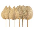 6pcs Dried Palm Leaves for Home Heart and Round Shape Trimmed Palm