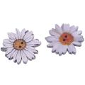 50pcs 25mm Daisy Flower Wooden 2-holes Buttons for Art Crafts