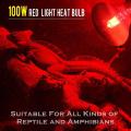 100w 2 Pack Infrared Heat Lamp Bulb Red Light Heat Bulbs