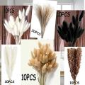 70pcs Pampas Grass Natural Dried Bouquet for Home Decor, for Women