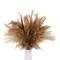 60pcs Natural Pampas Grass Dried 17.72 Inch Dried Flowers for Boho