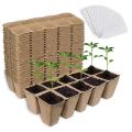 24 Pcs (288 Cells) Germination Seedling Trays Kit for Indoor Outdoor