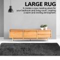 Fluffy Rugs for Bedroom,with Backing Non-slip Points(4x6 Feet,black)