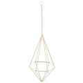 2x Hanging Air Plant Holder with Chain Tillandsia Container Gold