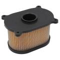 Motorcycle Air Filter for Hyosung Gt250r Gt650r Gv650 Gt650 Gt250