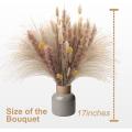 65 Pcs Natural Pampas Grass Bouquet,dried Fluffy Pampas