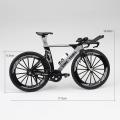 1:10 Scale Diecast Bicycle Mountain Tt Bike Model Mini for Home White