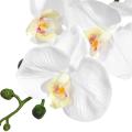 2 Pcs 38inch Artificial Real Contact Orchids Flowers for Diy Wedding