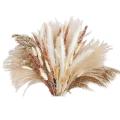 Natural Dried Flower Bouquet Pampas Grasses for Wedding Decoration