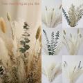 Dried Flower Bouquet ,17inch White Pampas Grass Decor for Home Table