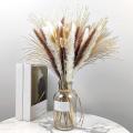 70 Pieces Of Natural Dried Pampas for Wedding Party Home Decor