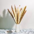 70pcs Natural Dried Pampas Grass Bouquets for Home Wedding Boho Decor