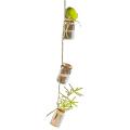 Strings Hanging Vase with Bottle Glass Bottle String Decoration Small