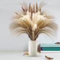 60pcs 17.72 Inch Dried White Pampas Grass&brown Dried Flower