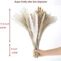 100pcs Dried Pompous Grass,17.5inch Dried Flowers for Boho Home Decor