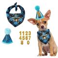 Dog Birthday Party Set,birthday Bandana Scarf (light Blue)