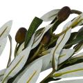 Artificial Olive Leaf Green Plants Fruits Branches Fake Leaves Home