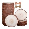 20pc Natural Wood Slices for Craft Pre-installed with Eye Screws