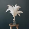 10 Pampas Stems Of Fluffy Pampas Grass for Wedding, Home, Event Decor