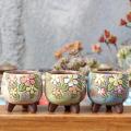 Horticultural Hand-painted Fleshy Plant Pot Simple Small Pot 3