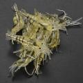 10pcs/lot 4cm Fishing Soft Shrimp Lure Pesca Lure Close Carp Jig