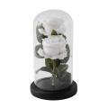 Rose Flower In Glass Led Light for Birthday Women Gifts,white