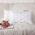 2pcs Soft Plush Decorative Cushion Pillow Shell White 12x20 Inch