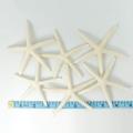 12pcs White Finger Starfish 5-10cm Decorative Five-finger Starfish