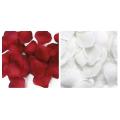 500 Rose Petals Scattered White Decoration Wedding Party