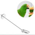 Stainless Steel Bird Parrot Cage Skewer Food Meat Stick Fruit Stand