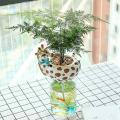 Decorative Vase Cactus and Succulent Plants Pot Planter Resin 2