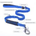 Dog Leash, 4-6 Feet with Comfortable Padded Handle & Buckle Blue