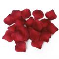 500 Rose Petals Scattered White Decoration Wedding Party