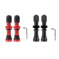 2pcs Bicycle Schrader A/v Valves 40mm for Mtb Tubeless Rims,red