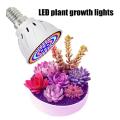 Grow Light Bulb for Indoor Plants Succulents Garden Flowers,e14,220v