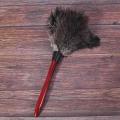 Ostrich Cleaning Feather Duster Fan Blades Of Various Photo Color