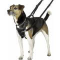 Dog's Chest Harness Leashes Vest-style Pet Double-buckle Leashes