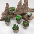 6pcs Small Indoor Faux Houseplants for Shelf Tabletop Desk Decoration