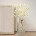 50pcs Rabbit's Tail Grass,17inch Dried Pampas Grass for Home (white)