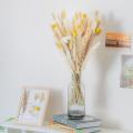 Dried Pampas Grass Ornament,natural Pomba Hay for Flower