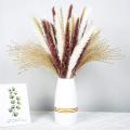 70pcs 17inch Natural Pompous Pampas Grass for Flower Home Decor