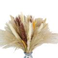 70 Pcs Natural Dried Pampas Grass Bouquets for Boho Wedding Decor