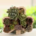 Animal Clover Model Decor Resin Flower Pot Imitation Wood Flowerpots