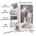 1set Natural Dried Flower Bouquet ,white Pampas Grass Branches