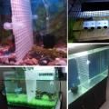 80 Pcs Divider Aquarium Suction Cup Holders for Fish Tanks Bracket